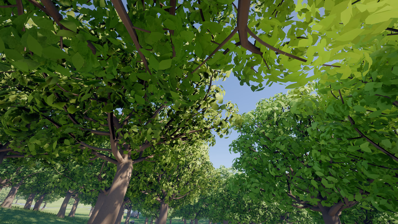 Canopy