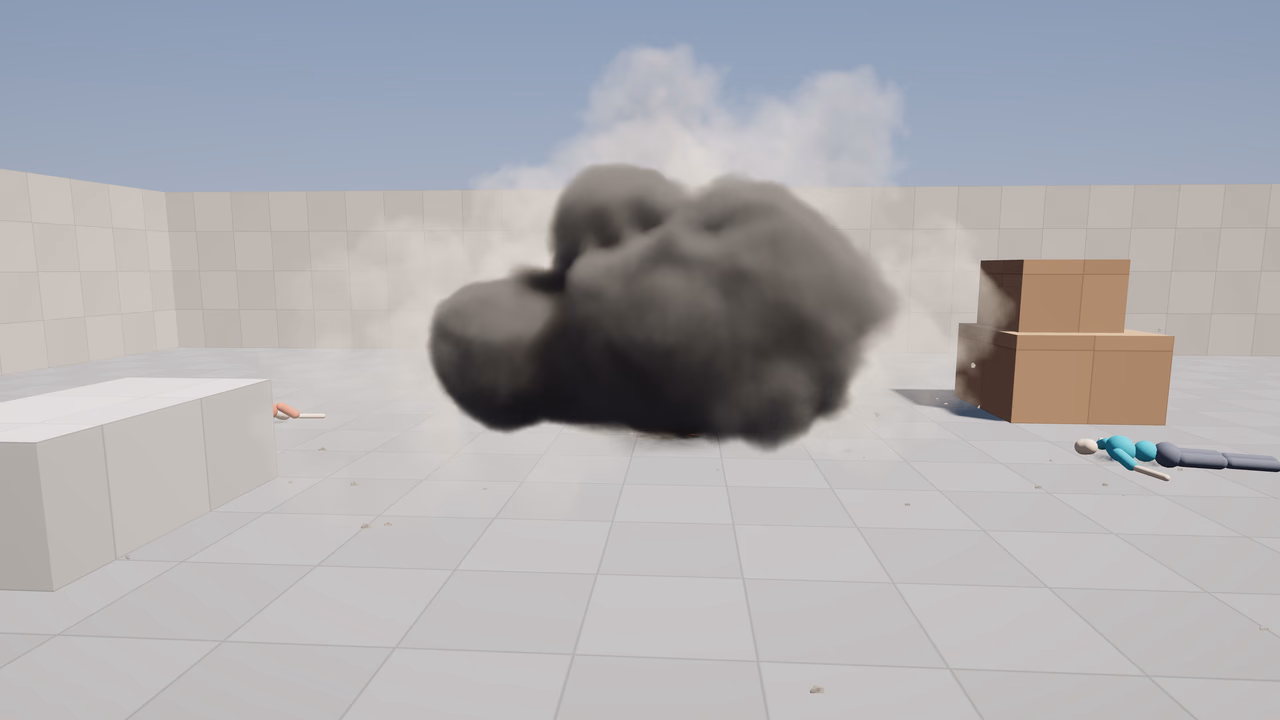 Ragdoll yard